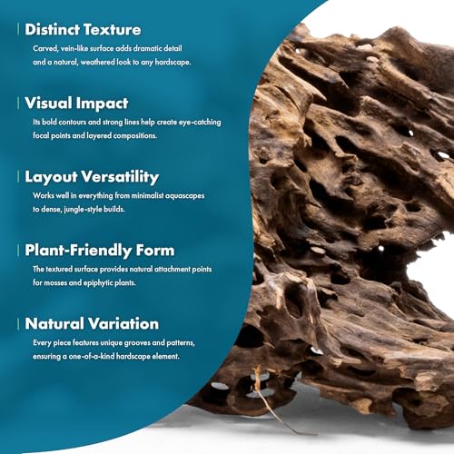 Natural Aquarium Driftwood for Fish Tanks, Terrarium, Reptile Habitats, Freshwater Aquatic Decor - Small to Large Pieces (Dragon Wood (Medium) 6-12", 3 Pieces) - size: 3 Pieces