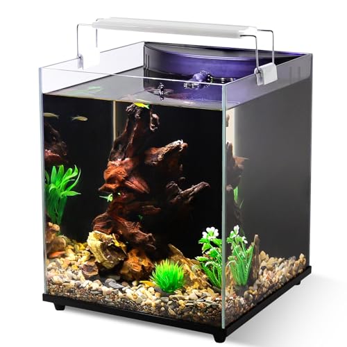 fishkeeper 5 Gallon Fish Tank Starter Kit, Small Aquarium with Filter and Adjustable 3 Color Lighting Self Cleaning Fish Bowl Rimless Aquarium for Beginners (Freshwater Fish Tank)