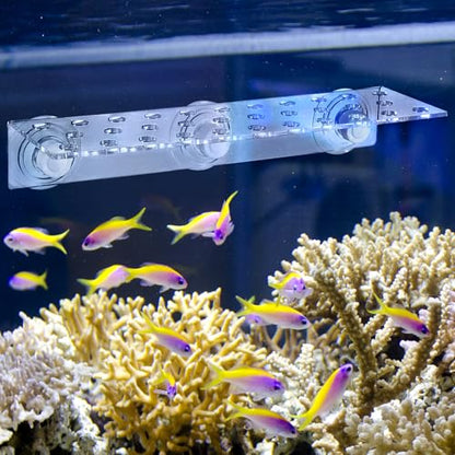 POPETPOP Coral Frag Rack : 32 Holes Clear Acrylic Coral Bracket with Powerful Suction Cup for Fish Tank Aquarium, 13.17X4.13X2.16in