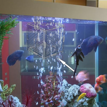 1set Acrylic Aquarium Isolation Box with Cups and Hook Transparent Fish Breeding Container for Betta Shrimp and Fry Easy Installation Compact Design