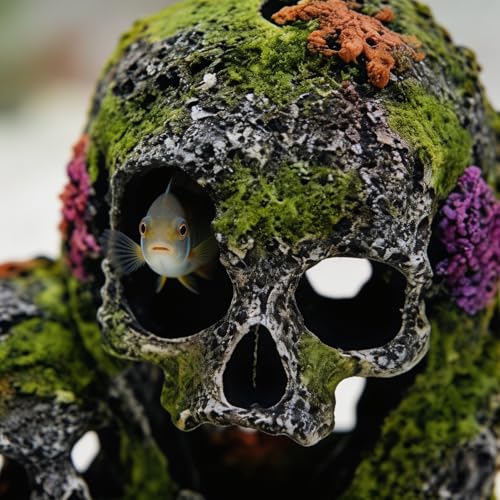 Betta Fish Tank Decorations Hideout - Triple Skull Hiding Cave for Aquarium, Resin Ornament with Artificial Moss Texture and Multiple Entrances for Shrimp, Small Fish - 7.3x4.9x6.1inch