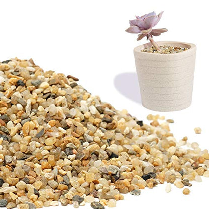 Coarse Sand Stone 1LB Decorative Rocks Sand Stone,Mix Coarse Sand for Plants,Soil Cover Bonsai,Succulent,Terrarium,Course,Garden,Cactus Sand, Aquarium, Fairy Garden, DIY.