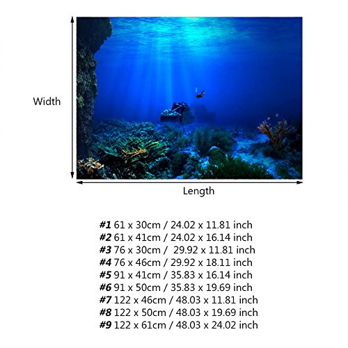 Huhushop Aquarium Background HD Undersea Coral Reef Photo Wall Paper Aquarium Fish Sea Mural XXL Undersea Underwater World Wall Decoration (61x41cm)