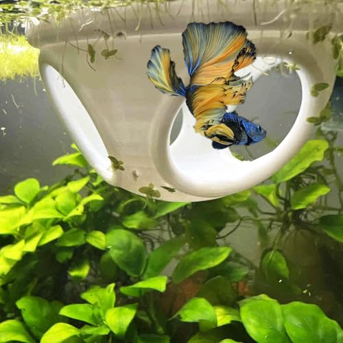 Floating Betta Hide Out, Betta Enrichment Toy. Feeding Ring for Fish & Shrimp, Safe Plastic Aquarium Ornament. (White)