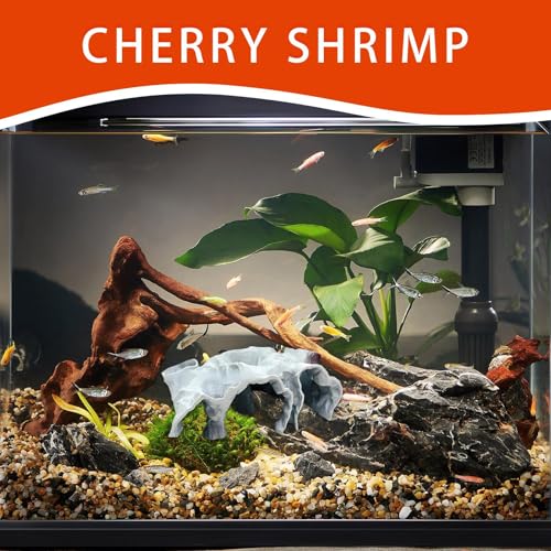 Aquarium Underground Tunnel Cave, Cave Fish Tank Decor, Fish Tank Decor Decoration, Breeding Shelter Decoration