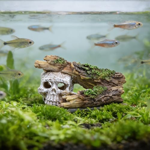 Skull Aquarium Decorations - Resin Fish Tank Rock Cave with Realistic Tree Hole, Hollow Hideout for Betta, Shrimp, Axolotl, Gothic Water Tank Ornament