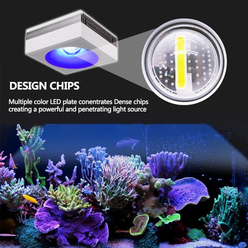 RL90 Full Spectrum Saltwater Reef Aquarium LED Light Aquarium Reef Led, for 24inch 60cm 2ft SPS LPS Reef Coral Tank, App Control (1 RL90FS with arm kit) - size: 1 RL90FS with arm kit