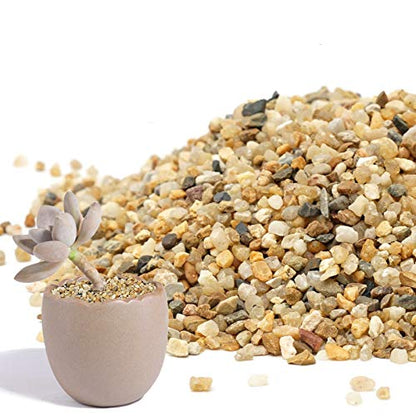 Coarse Sand Stone 1LB Decorative Rocks Sand Stone,Mix Coarse Sand for Plants,Soil Cover Bonsai,Succulent,Terrarium,Course,Garden,Cactus Sand, Aquarium, Fairy Garden, DIY.