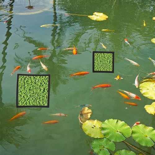 Fish Feeding Ring, Floating Plant Corral, Aquarium Floating Plant Ring, Floating Ring Aquarium Feeding Ring, Fish Tank Plant Corral Set for Aquarium Accessories, 6pcs, Black