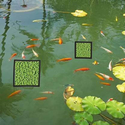 Fish Feeding Ring, Floating Plant Corral, Aquarium Floating Plant Ring, Floating Ring Aquarium Feeding Ring, Fish Tank Plant Corral Set for Aquarium Accessories, 6pcs, Black