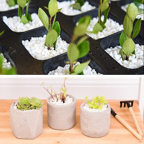 45lb White Cactus Pea Gravel Rocks,1/4 Inch Pebbles for Indoor Plants, Natural Succulent Rock and River Rocks Decorative for Aquariums, Vases, Outdoor Gardening, Top Dressing for Potted Plants