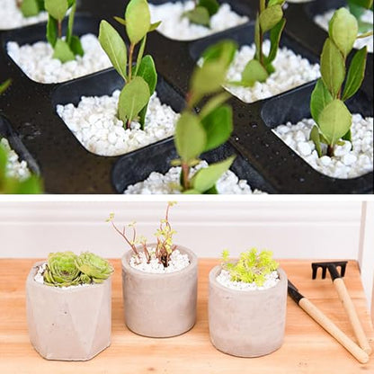 45lb White Cactus Pea Gravel Rocks,1/4 Inch Pebbles for Indoor Plants, Natural Succulent Rock and River Rocks Decorative for Aquariums, Vases, Outdoor Gardening, Top Dressing for Potted Plants