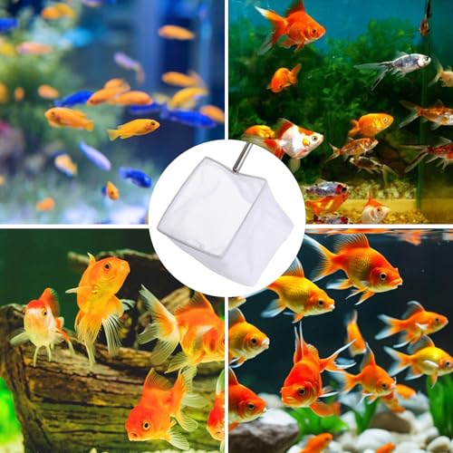 3 Inch Aquarium Net, Fish Net for Fish Tank with 8.6" to 39" Long Extendable Stainless Steel Handle Red Small Square Fine Mesh Shrimp Nets Pond Food Residue Debris Skimming Tool for Fishes Shrimp