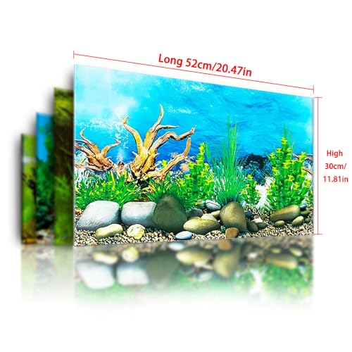 Double Sided Fish Tank Background 12 x 20 Inches for Fish Tanks Aquarium Backgrounds Decorative Poster Paper Sticker Waterproof Fish Tank Wallpaper (Conch Coral B)