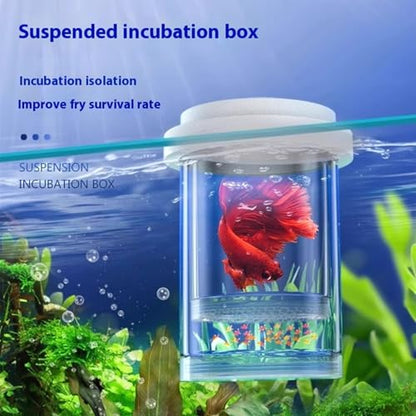 Floating Fish Breeding Box Net Design Safe Fish Habitat Isolation Tanks for Fry Shrimp Easy Setups Compacts - color: White, size: L