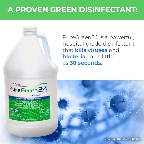 Disinfectant | Kills COVID-19 Norovirus RSV MRSA | Value Pack