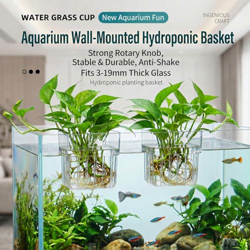 Chedin 2 Pack Clear Acrylic Aquarium Plant Holder, Hanging Fish Tank Planter with Adjustable Hooks, Hydroponic Plant Cup for Aquascaping, Betta Tank, Shrimp Tank & Aquarium Decoration