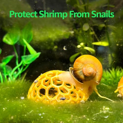 Shrimp Dome Hide - Aquarium Cherry Shrimp Hide Cherry Shimpe Hide (Honey Gold) - color: Honey Gold