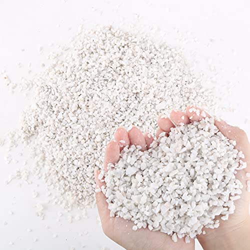 7lb White Cactus Pea Gravel Rocks,1/4 Inch Pebbles for Indoor Plants, Natural Succulent Rock and River Rocks Decorative for Aquariums, Vases, Outdoor Gardening, Top Dressing for Potted Plants - color: White Onyx, size: 7LB