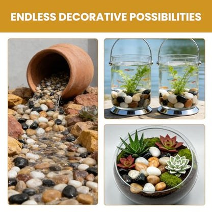 1-2 Inch Polished River Rocks, Decorative Stones for Indoor Plants, Vase Filler, Fish Tank & Aquarium, Garden Landscaping, Mixed, 6LB