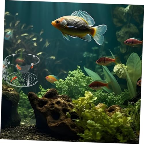 BESPORTBLE Fish Breeding Box for Aquarium Acrylic Isolation Chamber Floating Cover for Betta and Shrimp Breeding