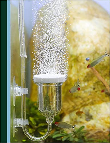 Aquarium Air Stone, Fish Tank Bubble Diffuser High Dissolved Oxygen Airstones for Air Pump Accessoriess with 1 Check Valve, 2 Suction Cup for Aquarium Pond Hydroponic - size: 1.4 inch