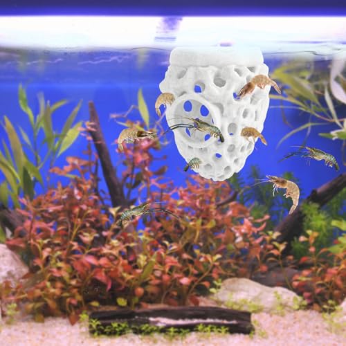 Shrimp Dome Hideout Ornament, Plastic Floating Betta Hide & Cave Funny Fish Tank Ornaments Cave for Shrimp Guppy Hiding Resting Aquarium Decoration Accessories