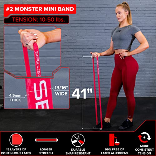 Assisted 41" Pull-Up Band, Resistance & Stretch, Powerlifting & Pull-up Assist Loop (Single Band) - style: #2 (10-50 lbs)