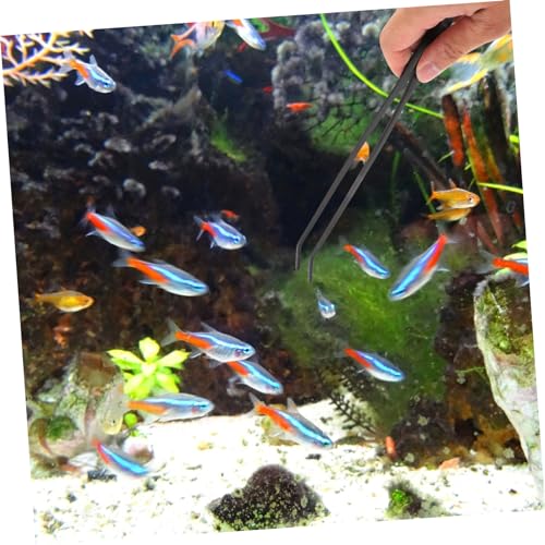 BESPORTBLE 1set Tank Feeding Tool Aquarium Water Cleaner Kit Pipette Dropper for Aquarium Maintenance Fish Feeding