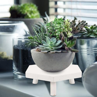 LIOOBO Wooden Plant Display Rack Sturdy Potted Planter Stand Natural Wood Flowerpot Stool for Indoor Outdoor Bonsai Showcase and Small Fish Tank Holder