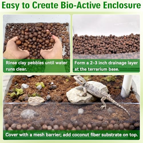 2QT Leca Clay Pebbles for Reptile Substrate - Organic Expanded Clay Balls for Bioactive Terrarium Drainage Layer & False Bottom, Lightweight Hydro Balls for Leopard Gecko, Tortoise, Frog