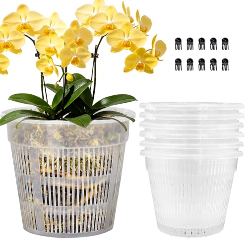 Orchid Pot, 6 Pack Orchid Pots with Holes, 6.3" Clear Orchid Pots for Repotting, Breathable Slotted Orchids Planter - color: 6pcs 6.3in
