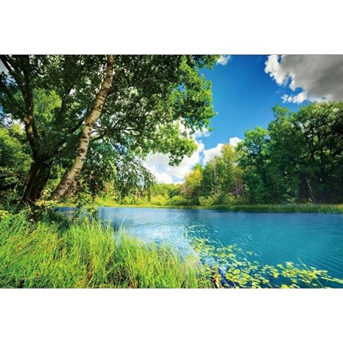 Polyester 7x5ft Park Scenery Backdrop River Blue Water and Tree Forest Garden Blue Sky Outdoor Picnic Spring Background Camping Hiking Photo Background Countryside Field Backdrop - size: 7x5ft