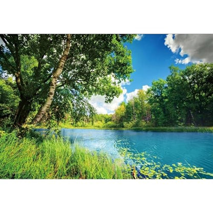 Polyester 7x5ft Park Scenery Backdrop River Blue Water and Tree Forest Garden Blue Sky Outdoor Picnic Spring Background Camping Hiking Photo Background Countryside Field Backdrop - size: 7x5ft