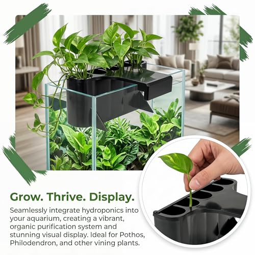 2 Pack Aquarium Plant Holder, Open Face Hanging Planter Cup for Emersed Plants, Fish Tank Aquatic Plant Pot with 5 Holes, Hydroponic Aquascape Decoration for Shrimp and Fish (Black Rimless)