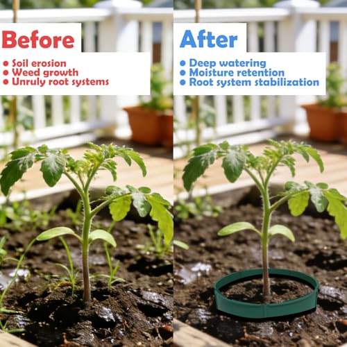 30pcs Planting Grow Rings, Planting Protective Round Edging, Interlocking Garden Plant Rings, Adjustable Diameter Range 8.2-15.7 in, for Deep Watering Vegetables, Herbs and Flowers (Green)