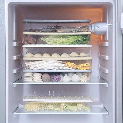 Square Refrigerator Storage Box Kitchen Household Plastic Food Sealed Frozen Fish And Shrimp Sliced Vegetable Box Refrigerator Storage & Finishing Box-Gris