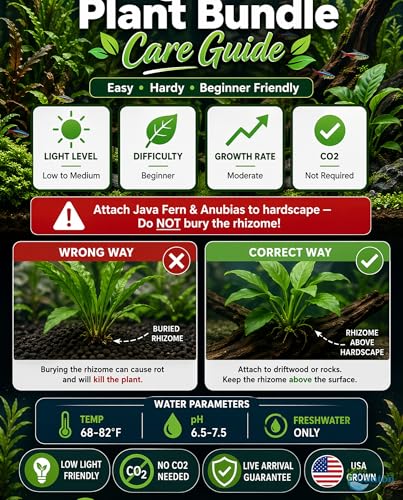 Live Aquarium Plants Bundle 6 Pack Beginner Freshwater Plants Low Light No CO2 - Low | Medium | High Light