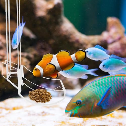 Aquatic Fish Feeding Disk - Glass Shrimp Feeder Tube Set, Clear Suction Cup Feeder Tray, Tank Feeding Station | Aquarium Care Tool for Pets | Easy Feed Solution for Shrimp Fish Snails