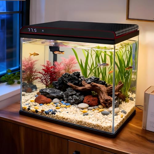 Coospider 10 Gallon Glass Fish Tank, Aquarium Starter Kit, Simple Self-Cleaning Aquarium with 3-Color LED Lights, Quiet Filter Pump, Temperature Monitoring for Fish, Shrimp, Kids Gift Ideas - size: 10 Gallon -UP
