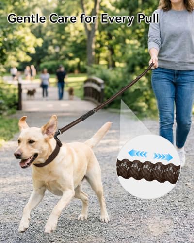 Joytale Tactical Bungee Dog Leash, Shock Absorbing No Pull, Brown - color: Brown