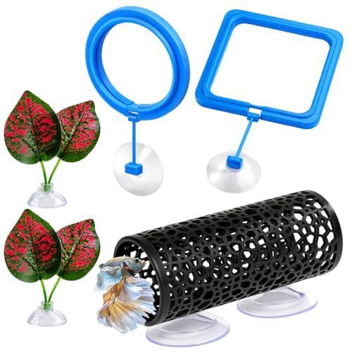 5pcs Fish Feeding Ring, Betta Feeding Ring and Hammock, Feeding Ring for Fish Tank and Aquarium, Assorted Blue Circular and Square Rings with Grass and Tunnel Accessories for Fish Feeding and Resting