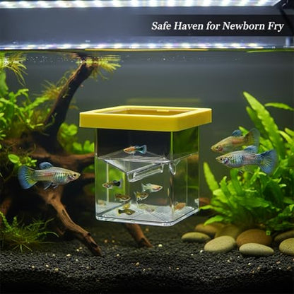 Floating Fish Breeding Box, Acrylic Fry Isolation Tank for Aquariums, Separates Newborn Fry from Adult Fish (1 PC)