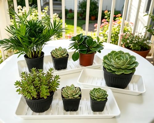 6 Pack Plastic Plant Tray Saucer Rectangular 13 Inch, Heavy Duty Planter Saucers for Indoors, Plant Water Drip Trays for Flower Pot, Windowsill Pot Tray, Growing Trays (6.5 X 13 Inch, White)