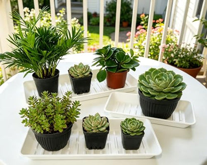 6 Pack Plastic Plant Tray Saucer Rectangular 13 Inch, Heavy Duty Planter Saucers for Indoors, Plant Water Drip Trays for Flower Pot, Windowsill Pot Tray, Growing Trays (6.5 X 13 Inch, White)