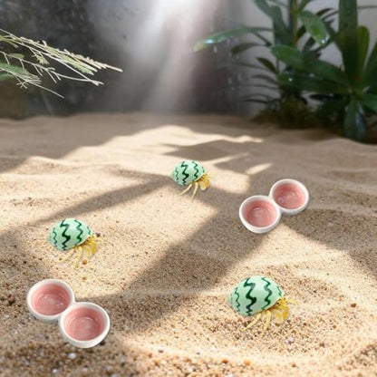 2 PCS Hermit Crab Food Dish Ceramic Hermit Crab Food Bowl Reptile Water Bowl Aquarium Accessory for Turtle Tortoise Lizard Snail Bearded Dragon Gecko