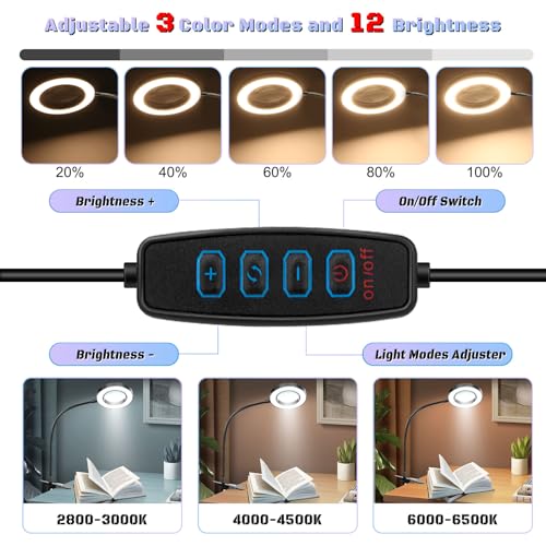 10X Magnifying Glass with Light, Clip on Mganifier with Light, 48 LED Desk Magnifying Glass wtih Clamp, 3 Modes Dimmable Magnifying LED Lamps for Bed Work Crafts DIY B