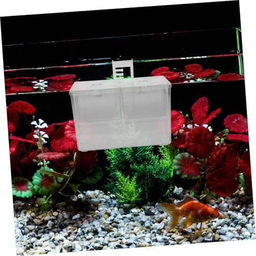 Levemolo Fish Breeding Box Incubator for Shrimp and Fry Aquarium Divider Wear-Resistant Material Lightweight Nursery for Safe Separation Fish Tanks