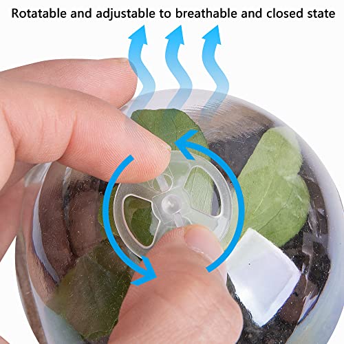 20pcs Biodegradable Plant Nursery Pots with Humidity Dome, 2.3" Seed Starter Pots for Seedlings, Vegetables