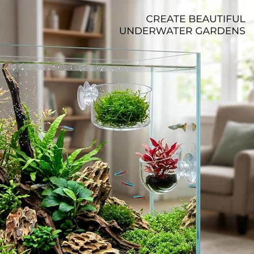 5pcs Aquarium Plant Holder Set, Fish Tank Plant Holder, Fish Tank Accessories for Aquascaping, Aquarium Plant Arrangement